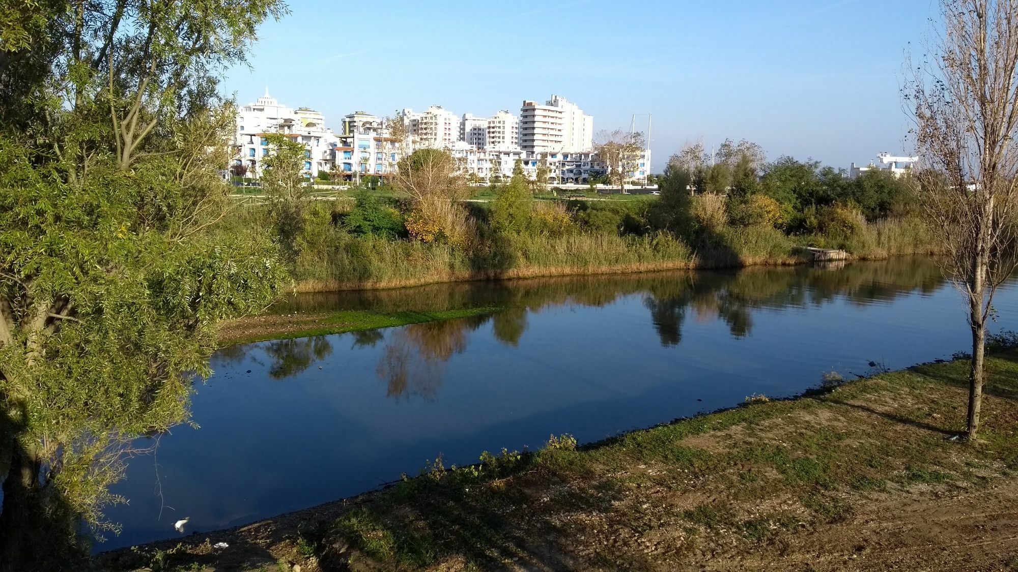 Portoverde Beach Apartments Misano Adriatico Dış mekan fotoğraf