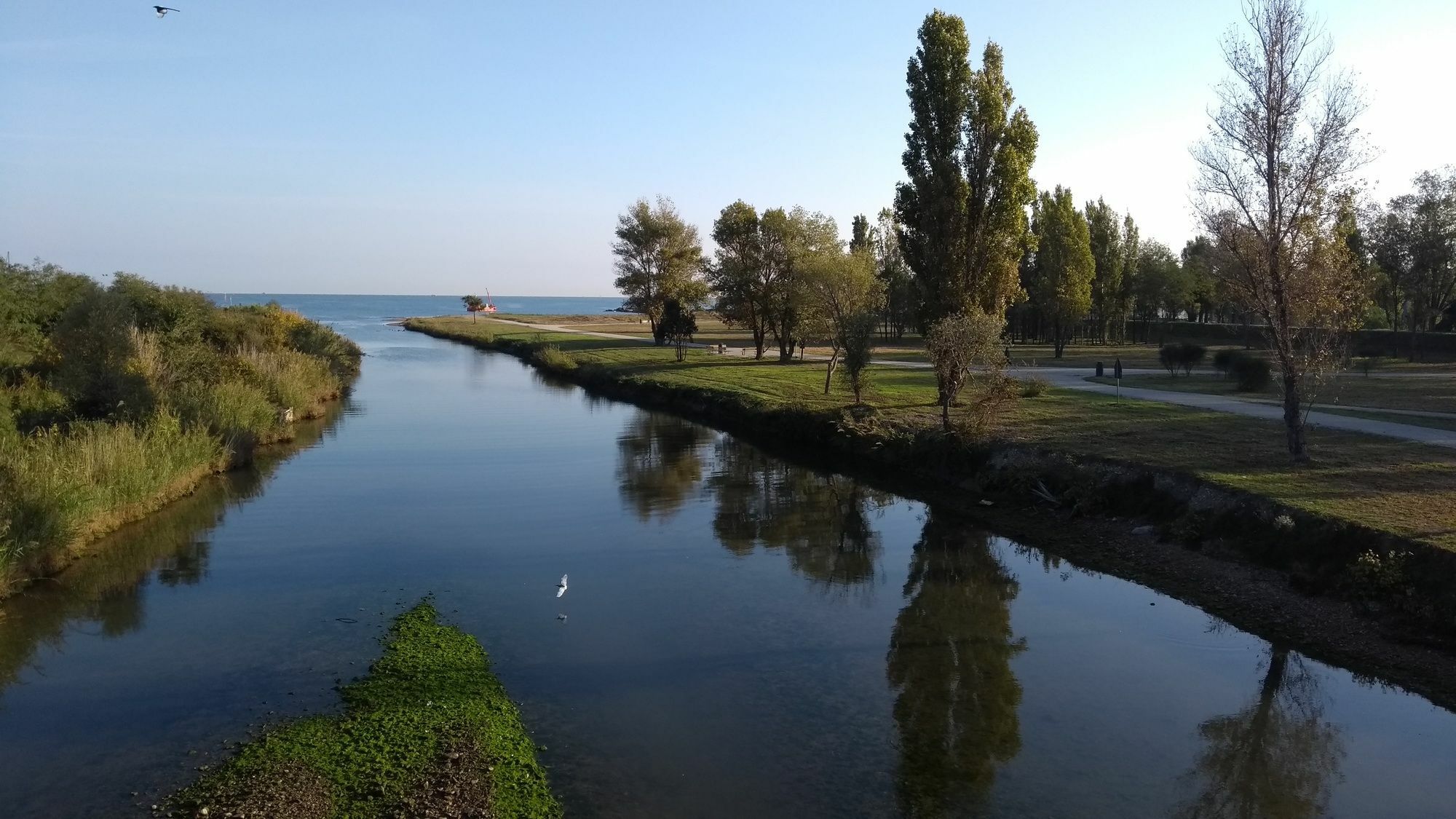 Portoverde Beach Apartments Misano Adriatico Dış mekan fotoğraf